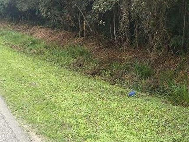 Terreno / Lote para Venda em Paranaguá/PR Área Rural de Paranaguá