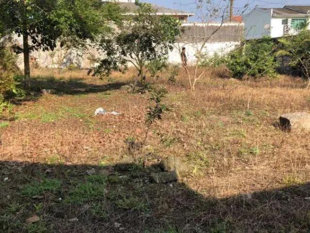 Terreno / Lote para Venda em Paranaguá/PR Bockmann