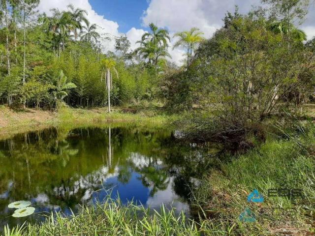 Terreno / Lote para Venda em Paranaguá/PR Colônia Maria Luiza