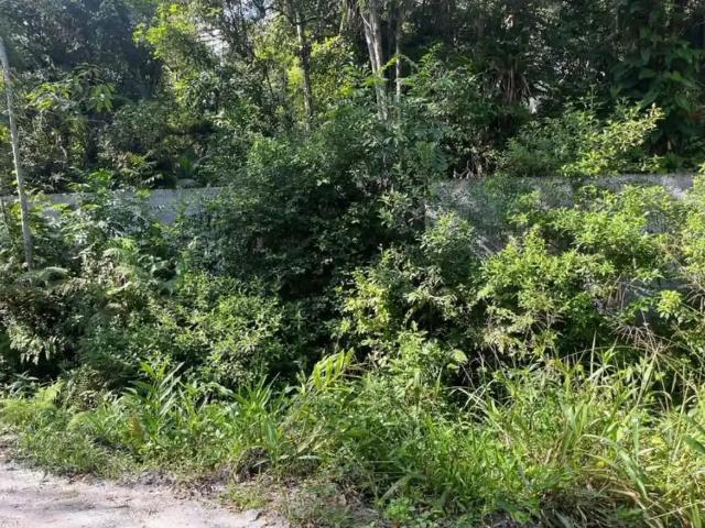Terreno / Lote para Venda em Paranaguá/PR Jardim do Bosque