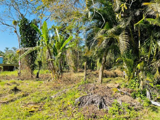 Terreno / Lote para Venda em Paraty/RJ Barra Grande