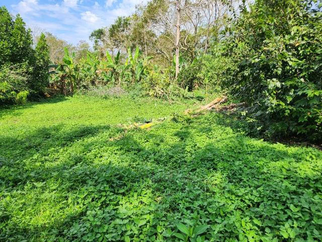 Terreno / Lote para Venda em Paraty/RJ Barra Grande