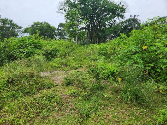 Terreno / Lote para Venda em Paraty/RJ Corisco