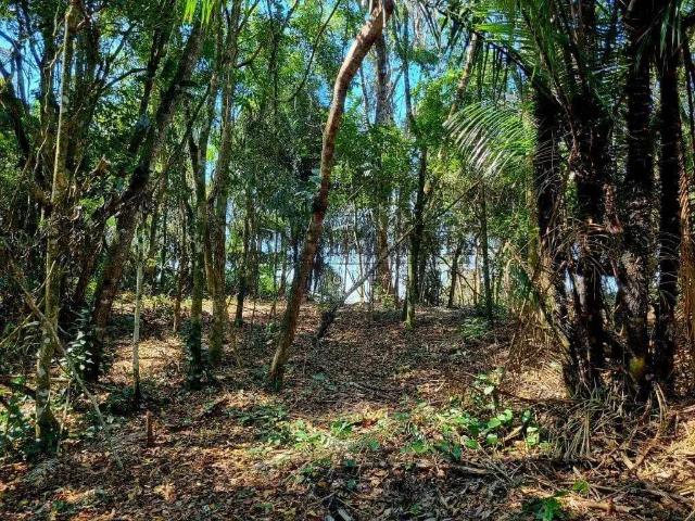 Terreno / Lote para Venda em Paraty/RJ Ponte Branca