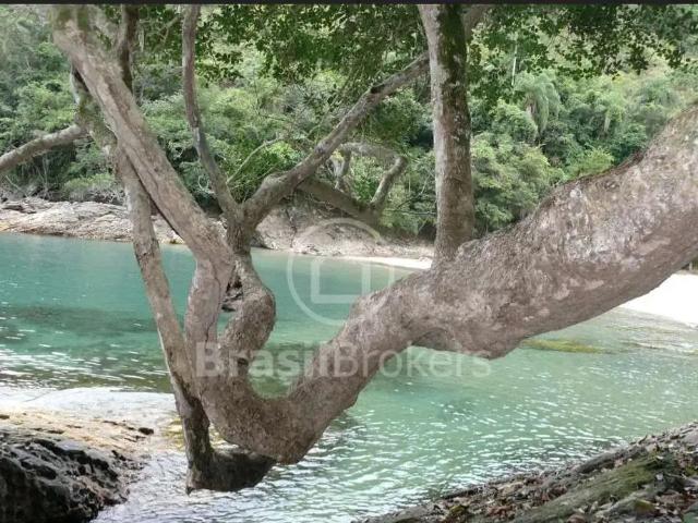 Terreno / Lote para Venda em Paraty/RJ Portal de Paraty
