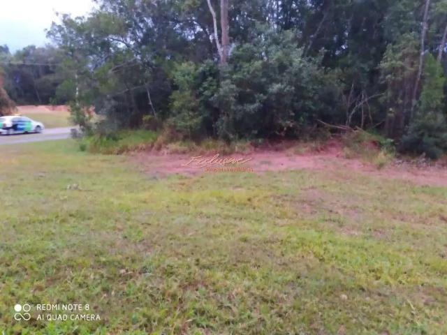 Terreno / Lote para Venda em Pardinho/SP Ninho Verde