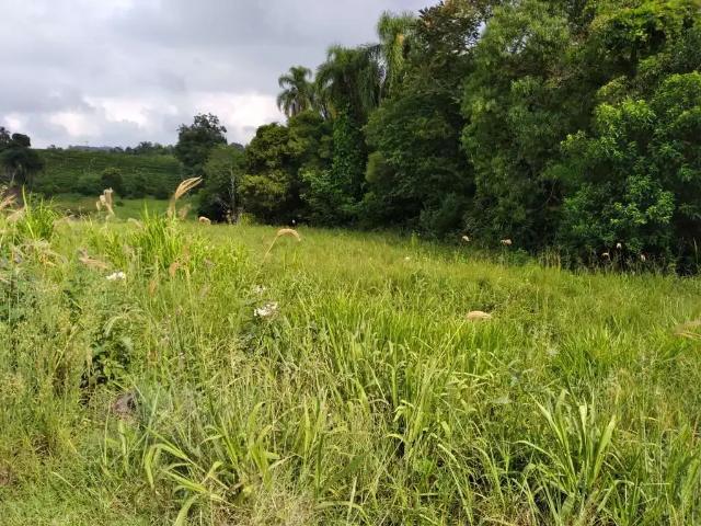 Terreno / Lote para Venda em Pareci Novo/RS Matiel