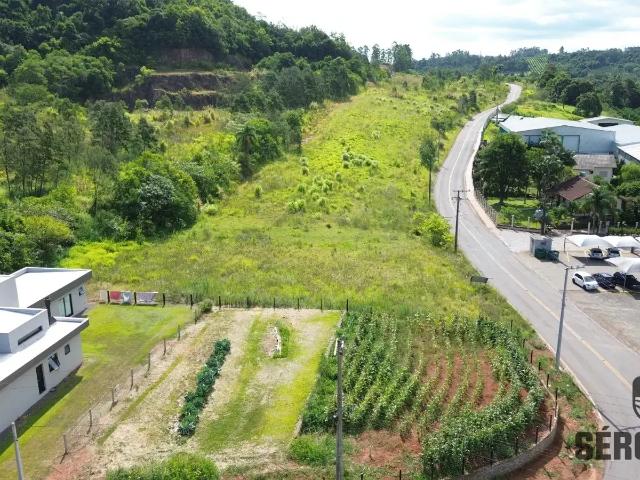 Terreno / Lote para Venda em Pareci Novo/RS Zona Rural