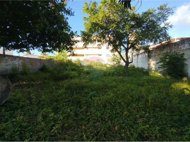 Terreno / Lote para Venda em Parnamirim/RN Cotovelo Distrito Litoral