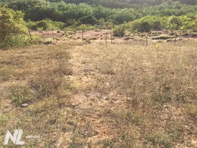Terreno / Lote para Venda em Parnamirim/RN Pirangi do Norte Distrito Litoral