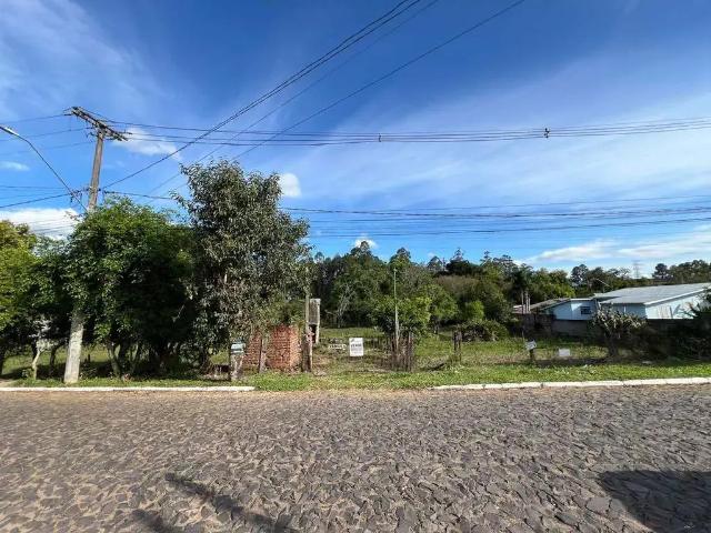 Terreno / Lote para Venda em Parobé/RS Fazenda Pires