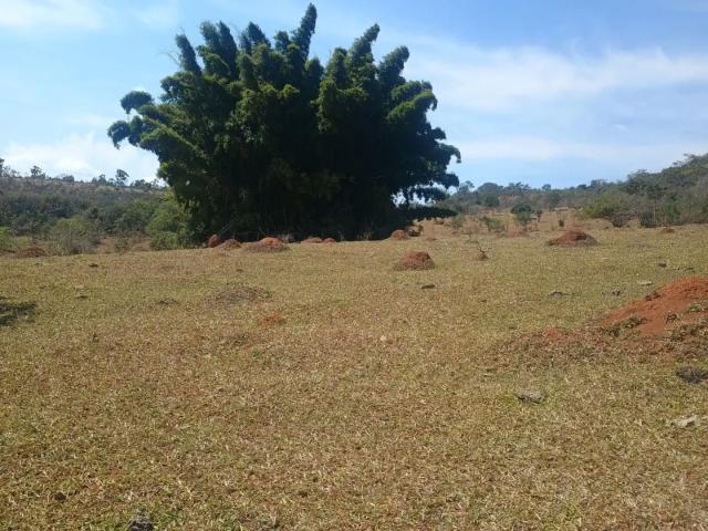 Terreno / Lote para Venda em Passa Tempo/MG Zona Rural