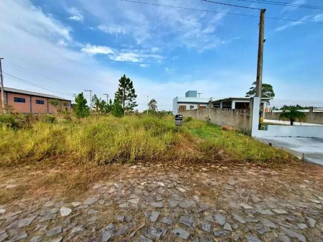 Terreno / Lote para Venda em Passo de Torres/SC Bela Torres