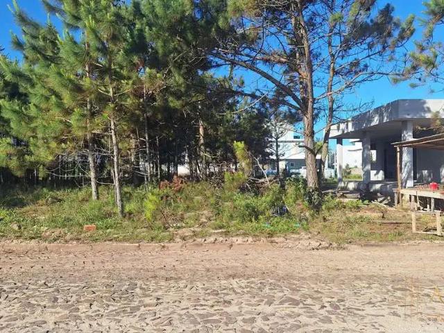 Terreno / Lote para Venda em Passo de Torres/SC Bela Torres