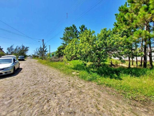 Terreno / Lote para Venda em Passo de Torres/SC Bela Torres