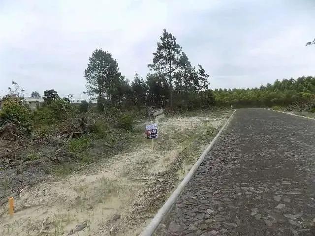 Terreno / Lote para Venda em Passo de Torres/SC Bela Torres