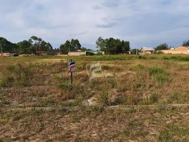Terreno / Lote para Venda em Passo de Torres/SC Bela Torres