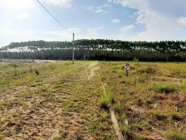 Terreno / Lote para Venda em Passo de Torres/SC Bela Torres