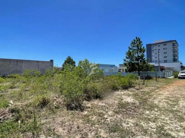 Terreno / Lote para Venda em Passo de Torres/SC Bela Torres