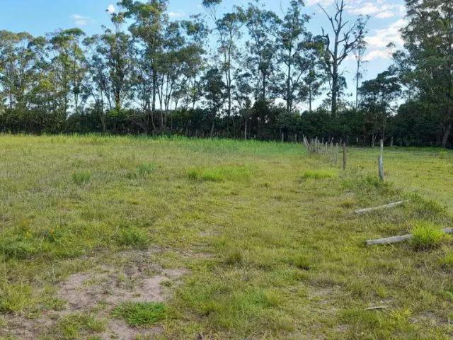 Terreno / Lote para Venda em Passo de Torres/SC Curralinhos
