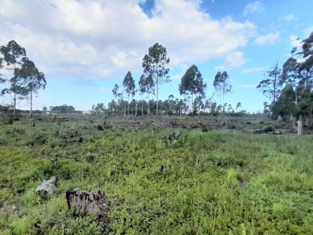 Terreno / Lote para Venda em Passo de Torres/SC Curralinhos