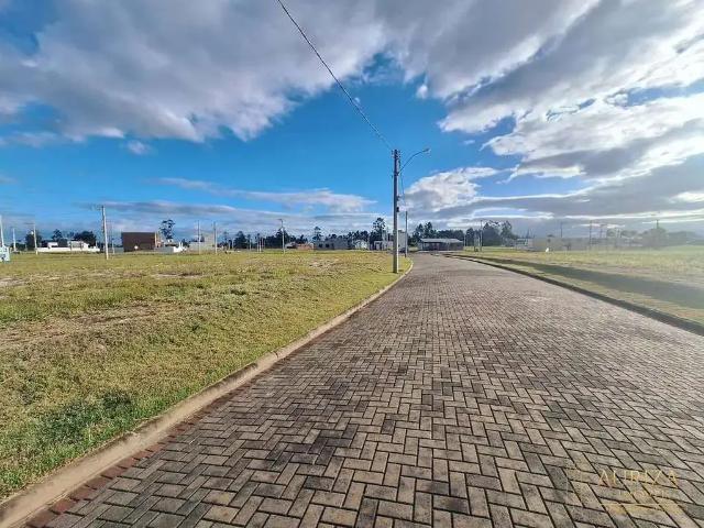 Terreno / Lote para Venda em Passo de Torres/SC Jardim América