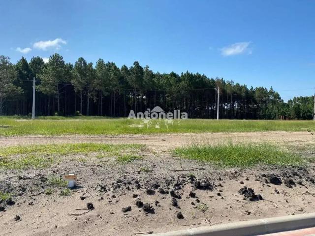 Terreno / Lote para Venda em Passo de Torres/SC Jardim América