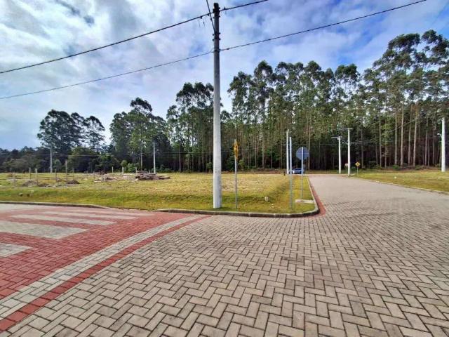 Terreno / Lote para Venda em Passo de Torres/SC Jardim América