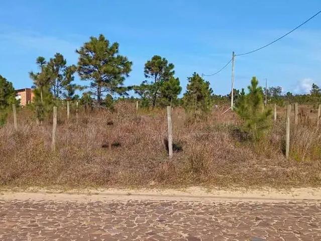 Terreno / Lote para Venda em Passo de Torres/SC Lagoa da Tapera