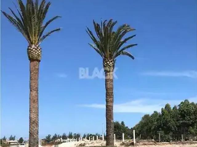 Terreno / Lote para Venda em Passo de Torres/SC Praia Caravelle