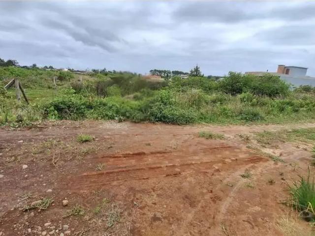 Terreno / Lote para Venda em Passo de Torres/SC Praia Caravelle