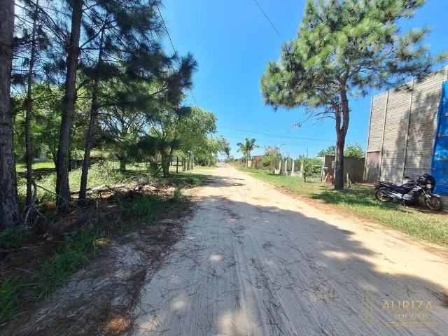 Terreno / Lote para Venda em Passo de Torres/SC Rota do Sol