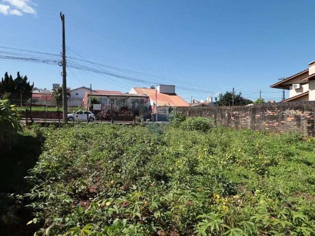 Terreno / Lote para Venda em Passo Fundo/RS Boqueirão