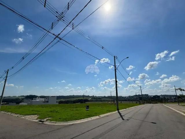 Terreno / Lote para Venda em Passo Fundo/RS Centro