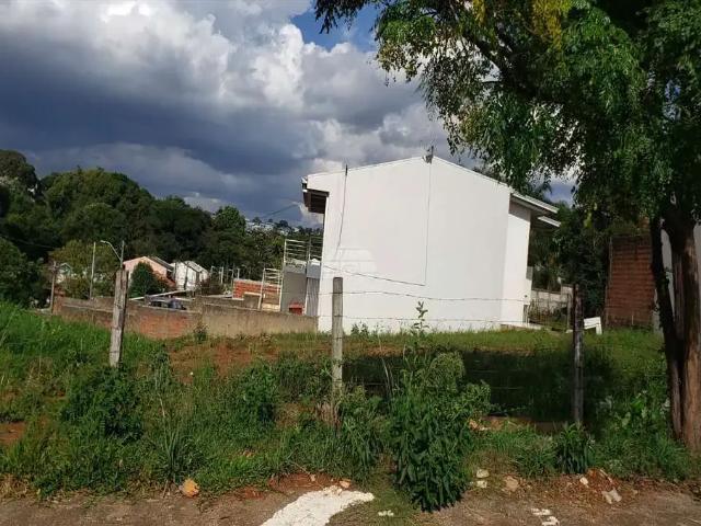 Terreno / Lote para Venda em Passo Fundo/RS Integração