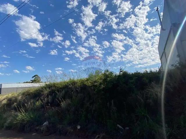 Terreno / Lote para Venda em Passo Fundo/RS Loteamento Santa Rita