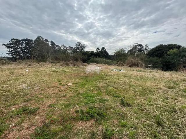 Terreno / Lote para Venda em Passo Fundo/RS Professor Schisler