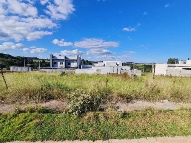 Terreno / Lote para Venda em Passo Fundo/RS São Luiz Gonzaga