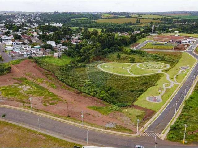 Terreno / Lote para Venda em Passo Fundo/RS São Luiz Gonzaga