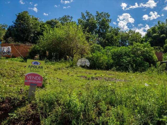 Terreno / Lote para Venda em Passo Fundo/RS Vila Santa Marta