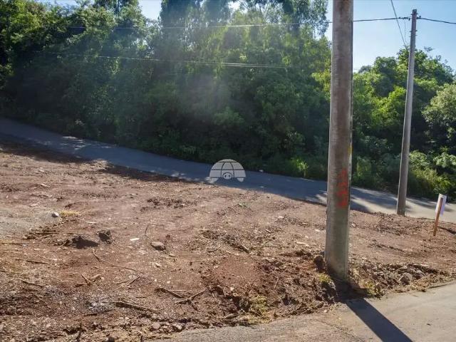 Terreno / Lote para Venda em Passo Fundo/RS Vila Petrópolis