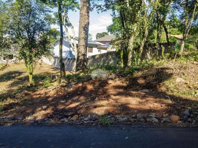 Terreno / Lote para Venda em Passo Fundo/RS Vila Petrópolis