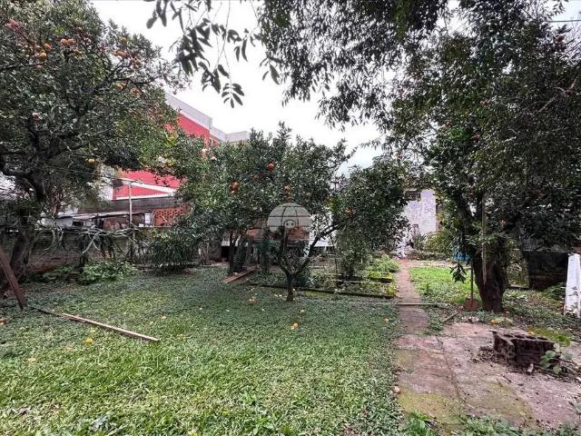 Terreno / Lote para Venda em Passo Fundo/RS Vila Rodrigues