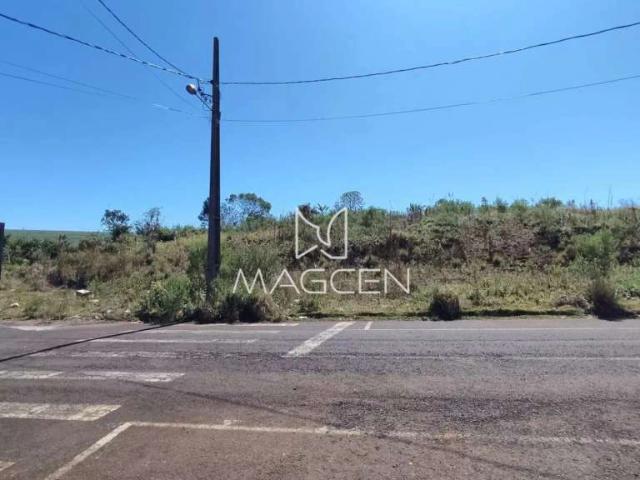 Terreno / Lote para Venda em Pato Branco/PR Aeroporto