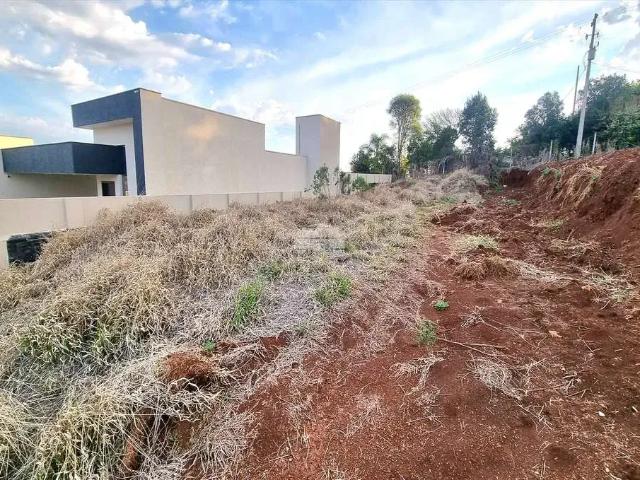 Terreno / Lote para Venda em Pato Branco/PR Aeroporto