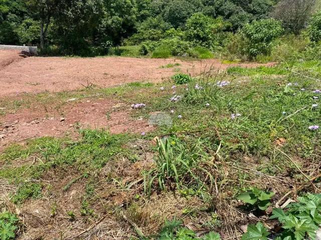 Terreno / Lote para Venda em Pato Branco/PR Aeroporto