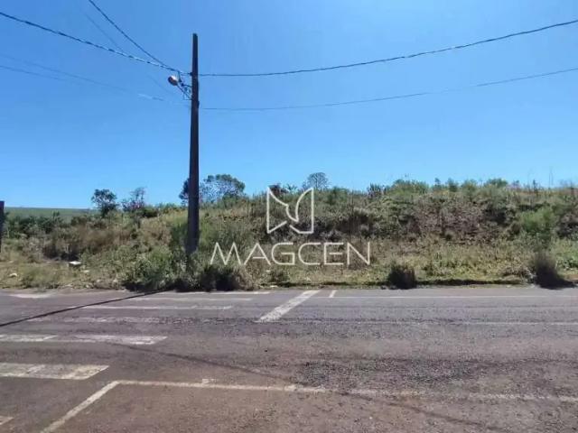 Terreno / Lote para Venda em Pato Branco/PR Aeroporto