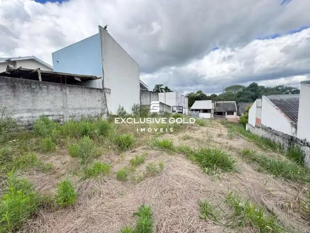 Terreno / Lote para Venda em Pato Branco/PR Aeroporto