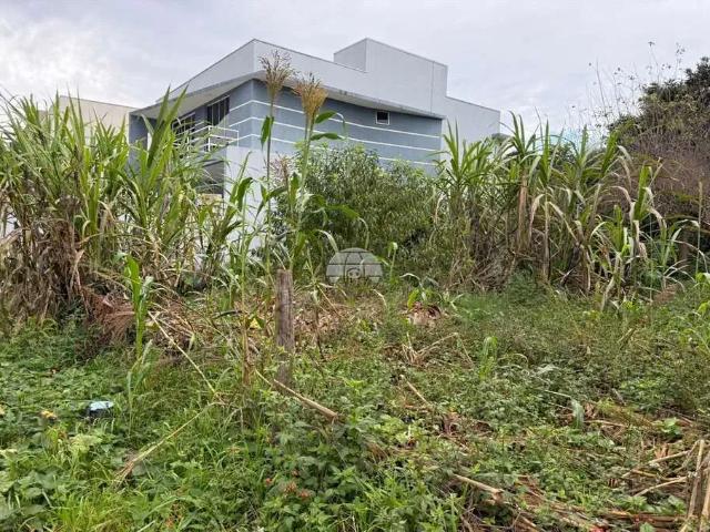 Terreno / Lote para Venda em Pato Branco/PR Aeroporto