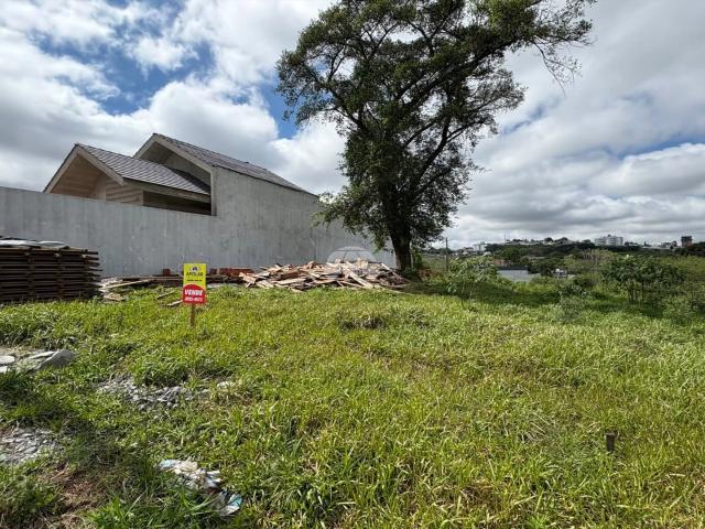 Terreno / Lote para Venda em Pato Branco/PR Bortot